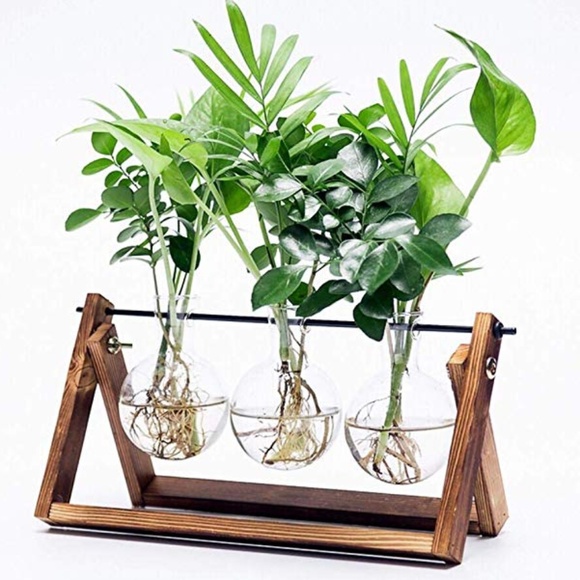 Desktop Glass Planter 3 Bulb Vase - Picture 2 of 9